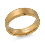 Beveled Steel Ring